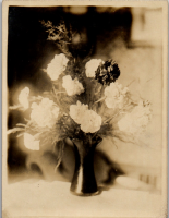 FR0341
