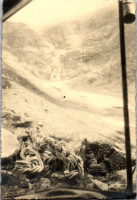 FR0493