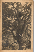 FS0830