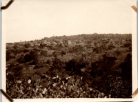 FU0194