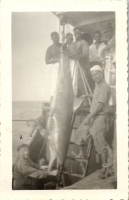 FU0337