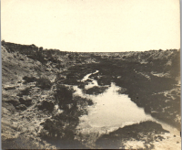 FV0043