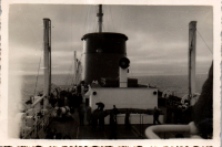 FV0138