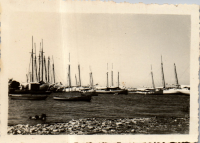 FV0163