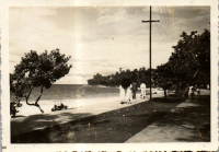 FV0193