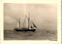 FV0295