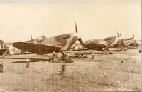 FV0954