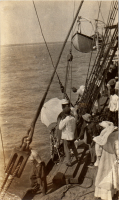 FV0988