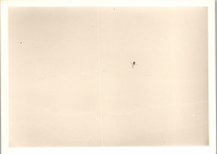 FW0929