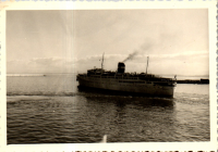 FX0194