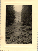 FX0444