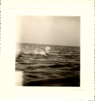 FY0093
