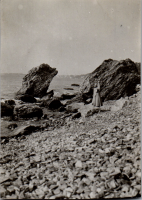 FY0230
