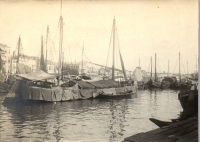 FY0233