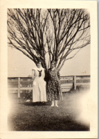 FY0393