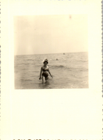 FY0456
