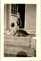 FY0486