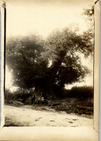 FY0516