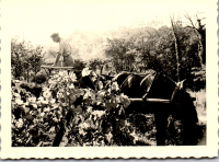FY0556