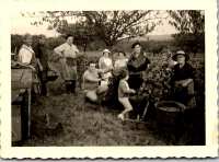 FY0559