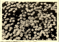 FY0564
