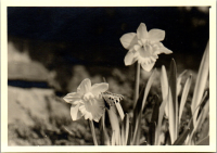 FY0565