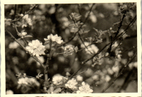 FY0568