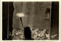 FY0570