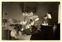 FY0579