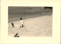 FY0594