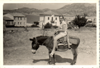 FY0619