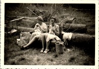 FY0826