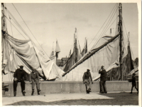 FY0881