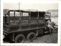 GA0311