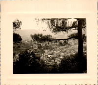 GA0805
