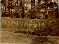 GC0048