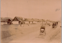 GC0086