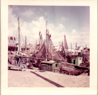 GC0342