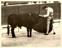 GC0402