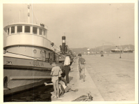 GD0259