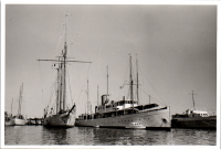 GE0273