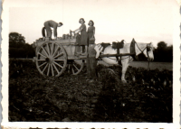 GE0965