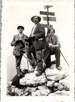 GF0393