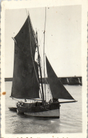 GF0553