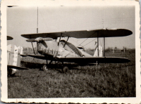 GF0817
