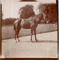GG0535