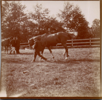 GG0536