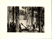 GG0987