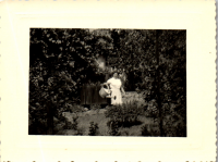 GH0017