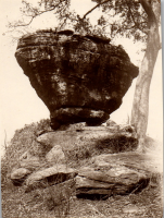GI0024